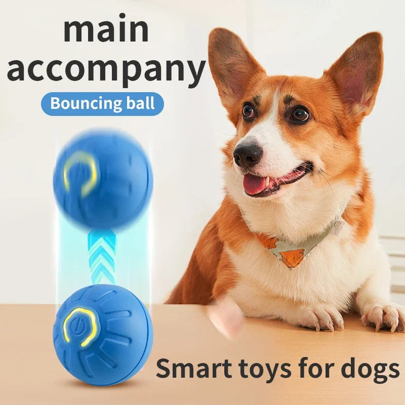 Interactive Dog Toy - Freedom Products