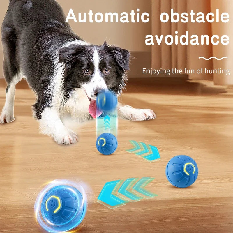 Interactive Dog Toy - Freedom Products