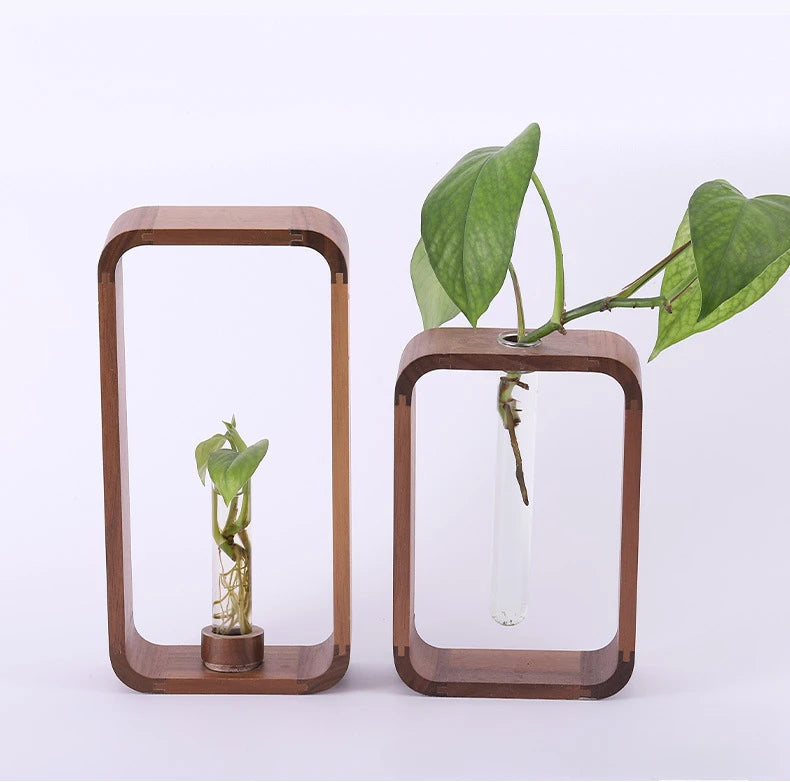 Eco-Friendly, Modern Decor Rooting Vase