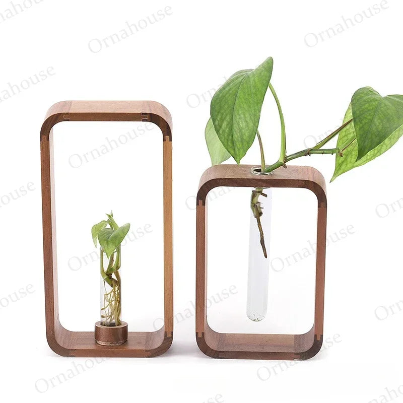 Eco-Friendly, Modern Decor Rooting Vase