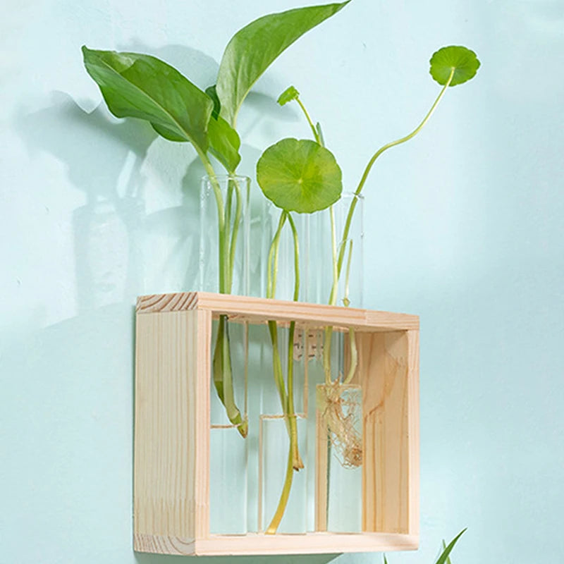 Hydroponic Vase