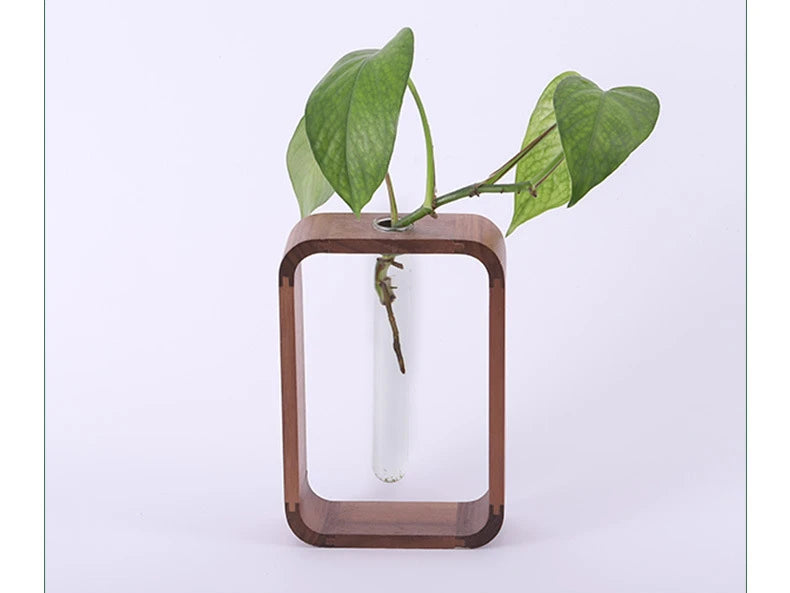 Eco-Friendly, Modern Decor Rooting Vase